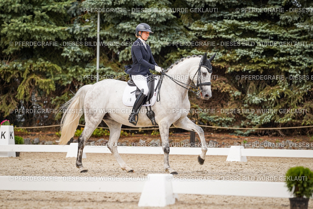 DSC07713 | Pferdegrafie