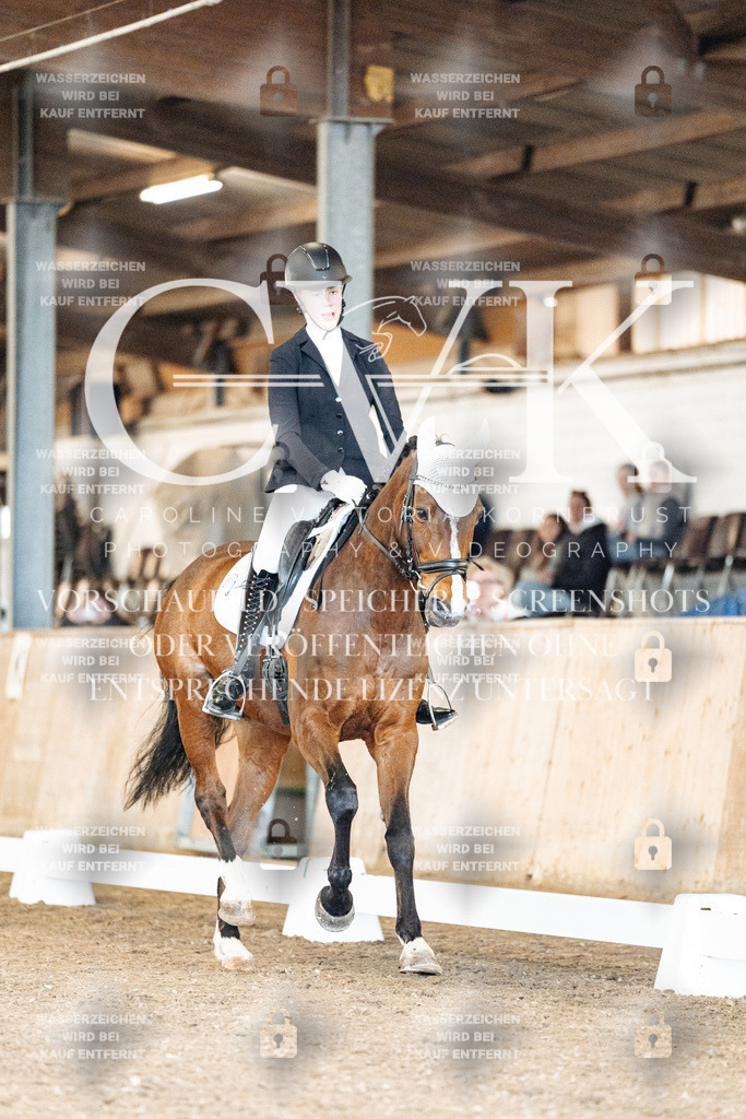 CK900702 | Turnierfotografie Pferdefotografie Trier Rheinland-Pfalz Pferdesport Reitsport Tierfotografie Sportfotografie Pferdevideo Pferdevideografie Equestrianvideography equestrianphotography  - Realisiert mit Pictrs.com