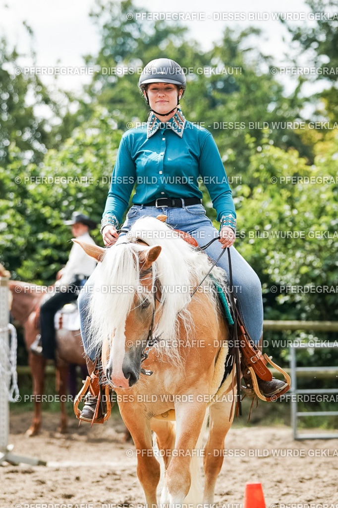 DSC04228 | Pferdegrafie