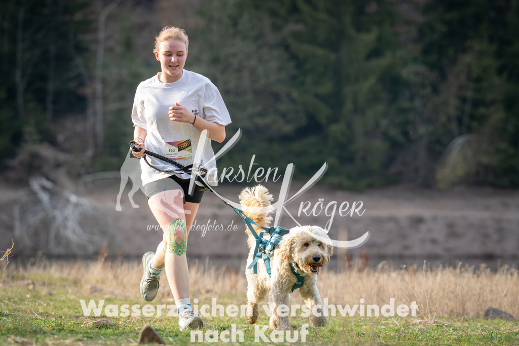 1826_ZZ97565 | kk-dogfotos
