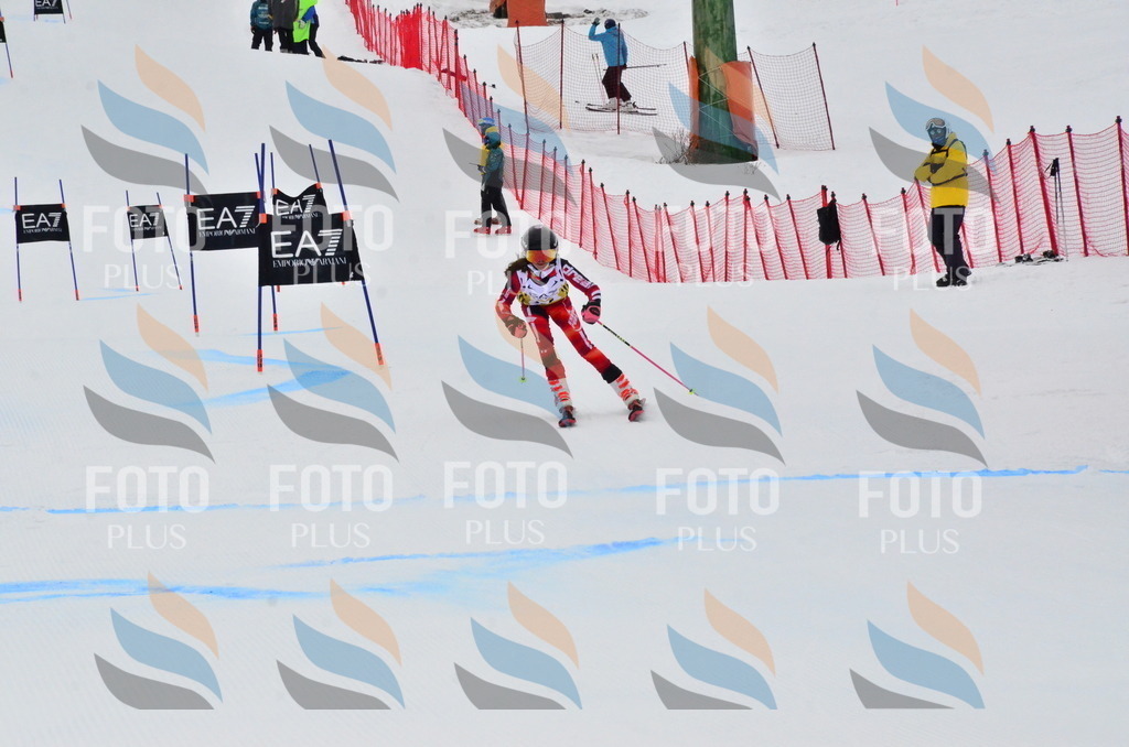 _ELE3677 | holidayphoto