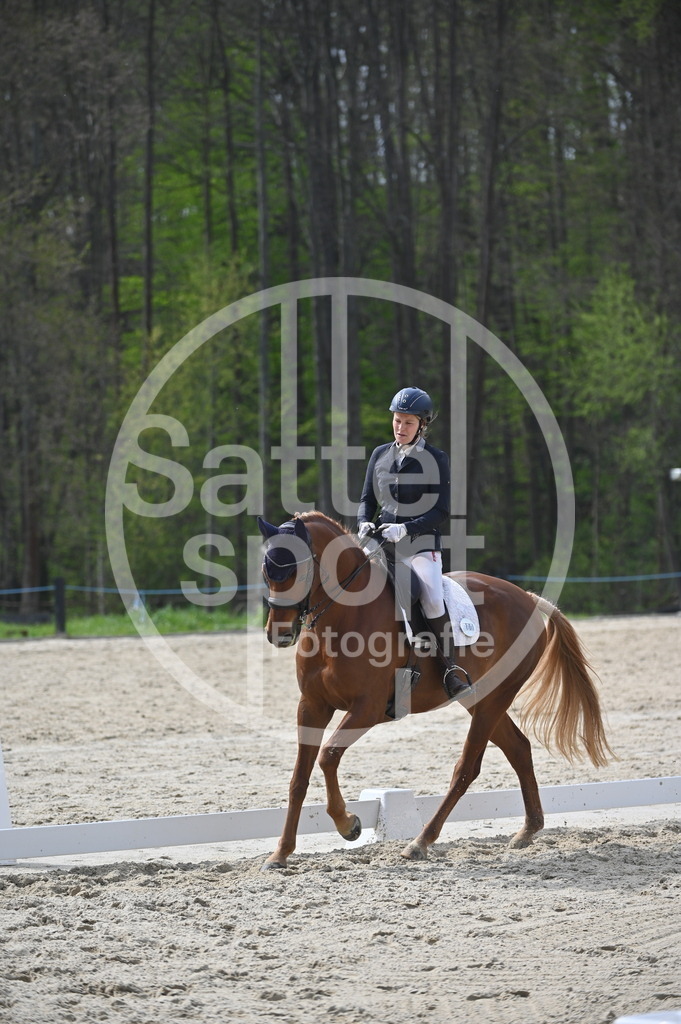 DSC_4539 | sattelsport - Realisiert mit Pictrs.com