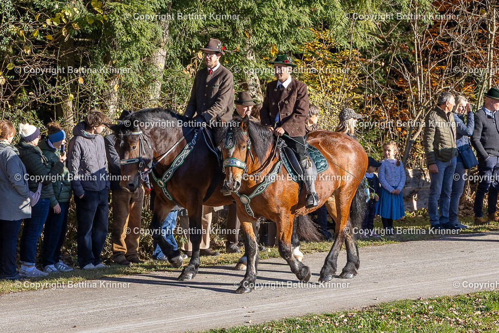 LBT25-218 | foto-bettina-krinner - Realisiert mit Pictrs.com