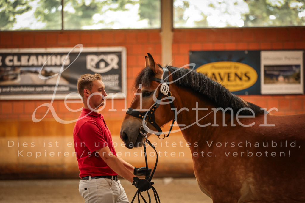 SaFL00090 | Leoni Ertmer Photography - Realisiert mit Pictrs.com