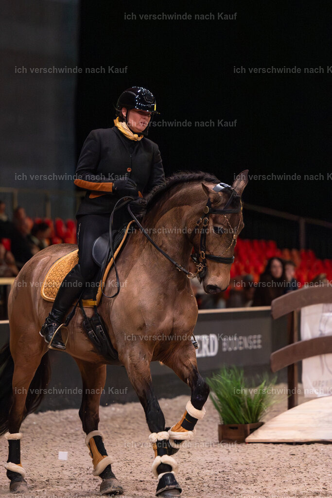 JoseraCup-49 | working equitationturnier fotograf videograf stoibphotography marixx film working equitation deutschland reitsport turnierfotografie eventfotografie equestrian events