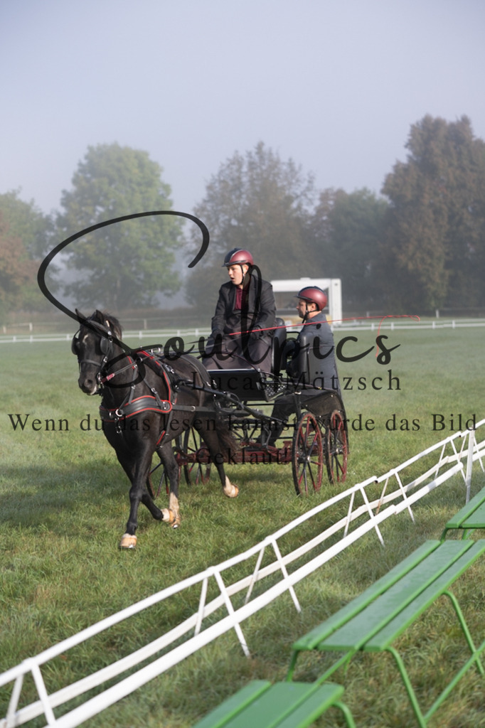 A7V04073 | Pferdefotograf