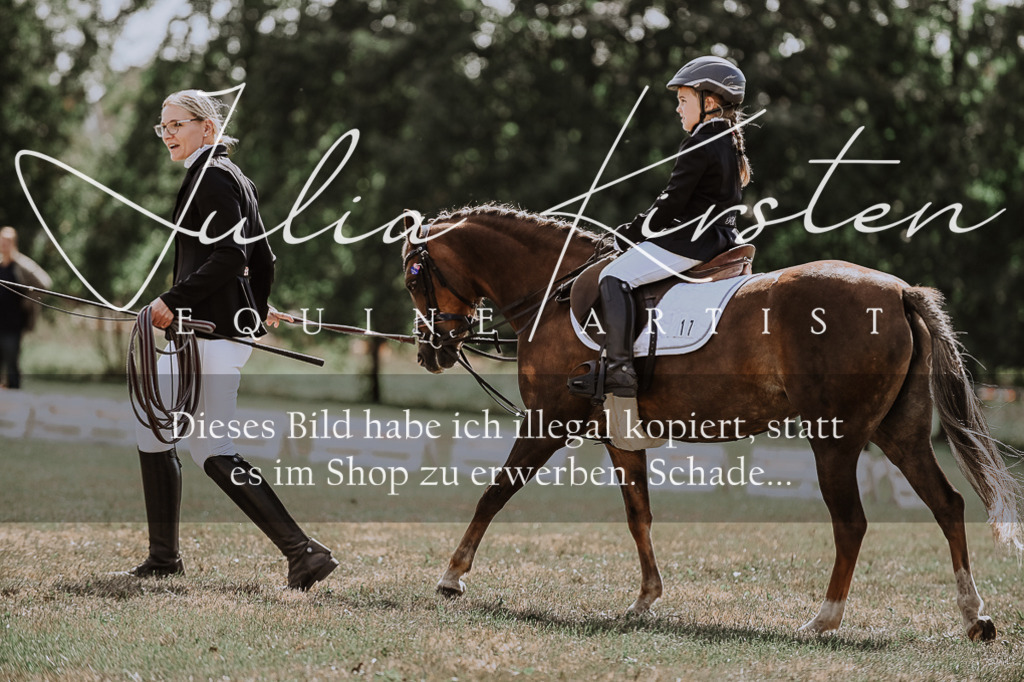 DSC_7642 | Pferde- und Turnierfotografie in Westsachsen. Pferdeportraits, Auftragszeichnungen und intuitive Kunst.