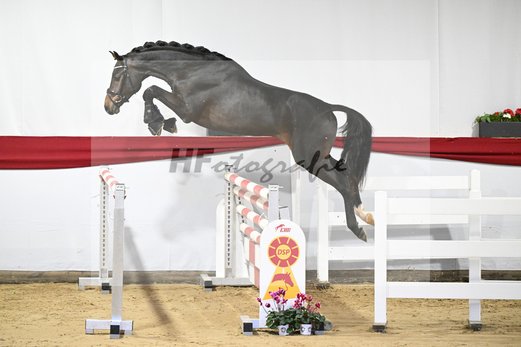 Kat-Nr. 32 v. Uno I_Koegler_63220882 | hf-fotografie - Realisiert mit Pictrs.com