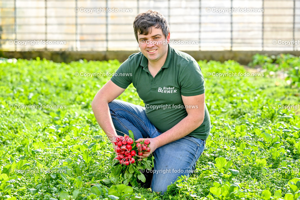 Biohof Berner_ Pupping_ 28.02.2023-8 | 28.02.2023, Pupping, AUT, Biohof Berner, im Bild André Berner (Biobauer) bei der Radieschen Ernte