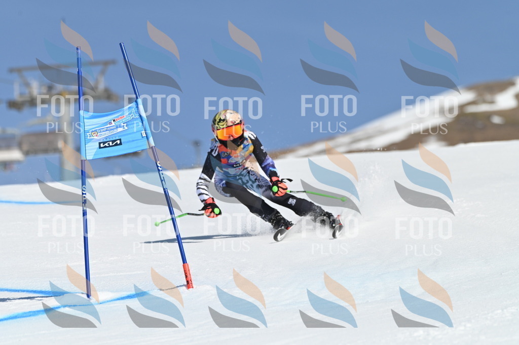 BGV_8022 | holidayphoto