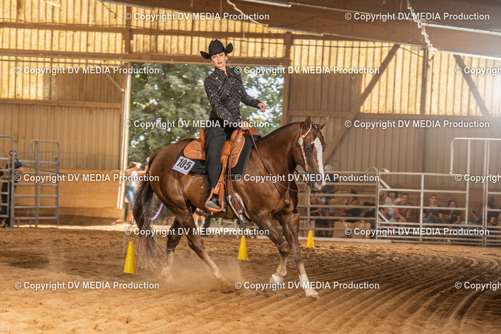 NID03545 | dv-media-shop - Realisiert mit Pictrs.com