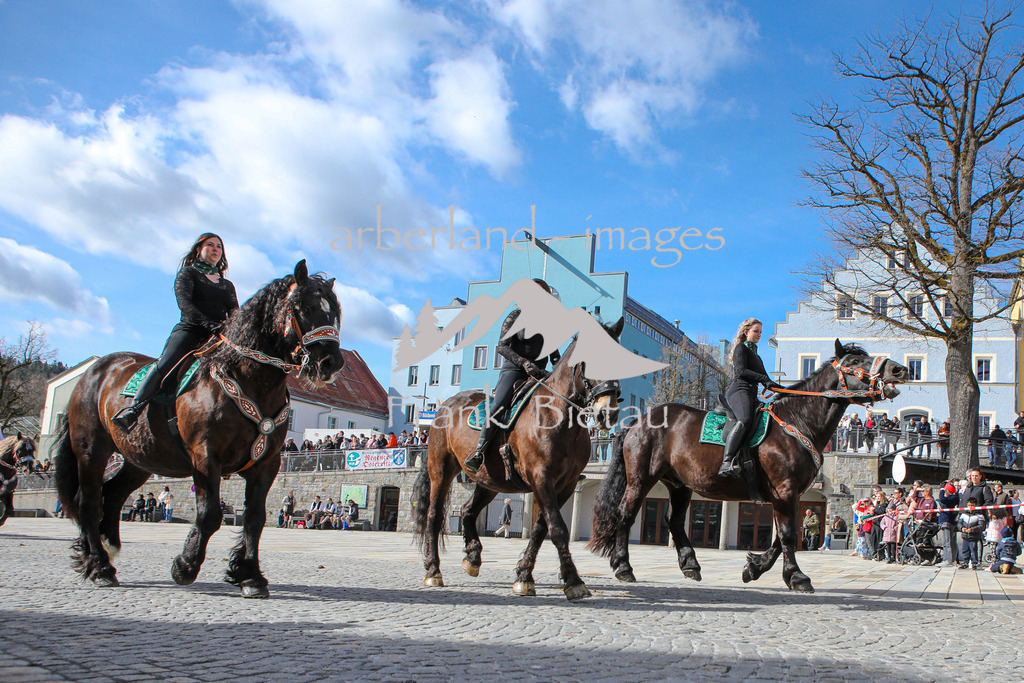 OE7A5790 | Medien- Sport- Entertainmentfotos