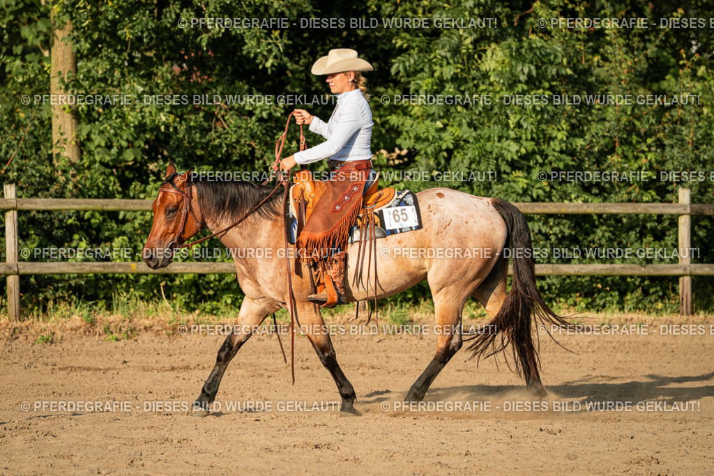 DSC06234 | Pferdegrafie