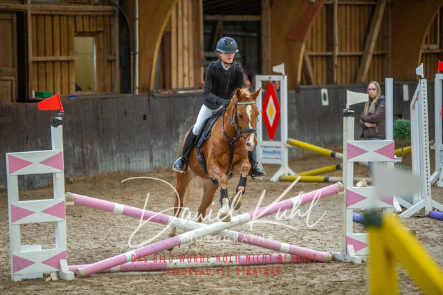 IMG_1789 | Turniersportfotografie; Pferdefotografie; Dressurfotografie