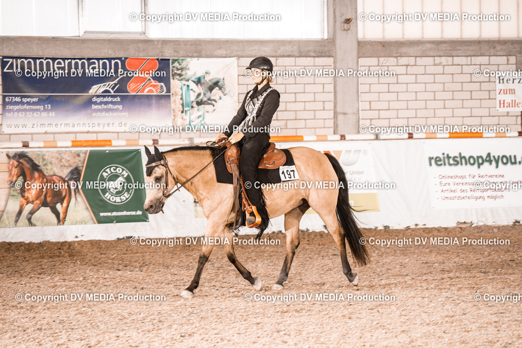 ZH100107 | dv-media-shop - Realisiert mit Pictrs.com