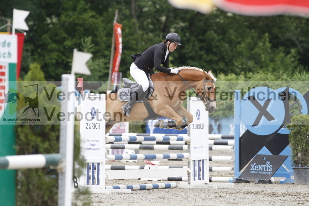 _MG_6247 | equestrian-live-com