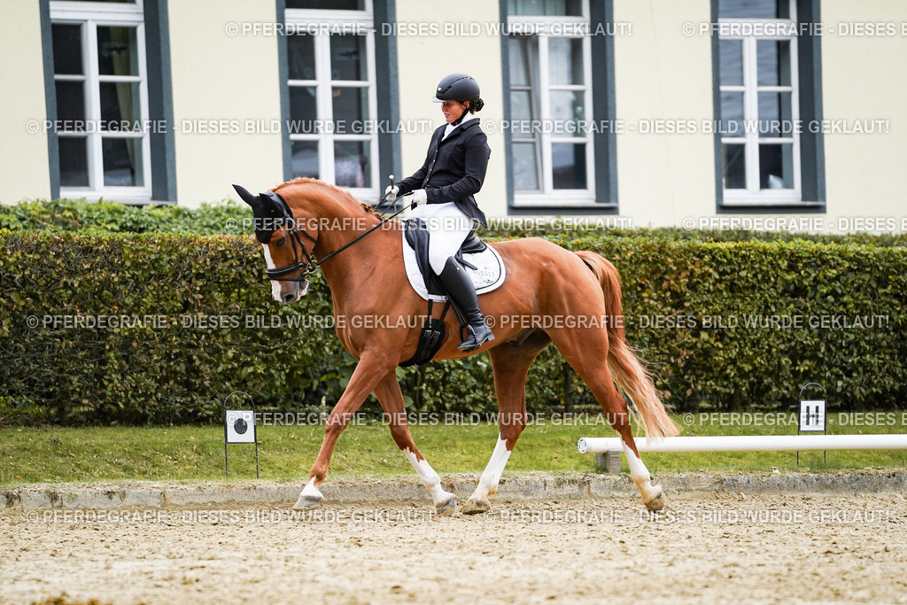 DSC01000 | Pferdegrafie