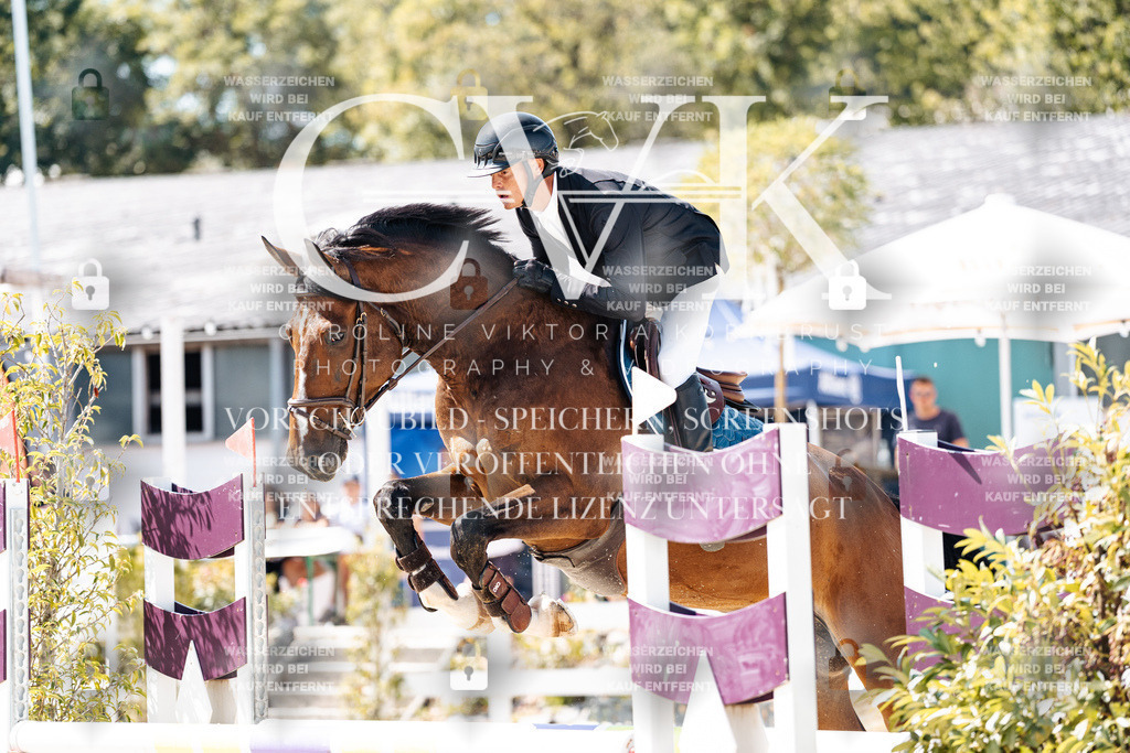 CK909080 | Turnierfotografie Pferdefotografie Trier Rheinland-Pfalz Pferdesport Reitsport Tierfotografie Sportfotografie Pferdevideo Pferdevideografie Equestrianvideography equestrianphotography  - Realisiert mit Pictrs.com