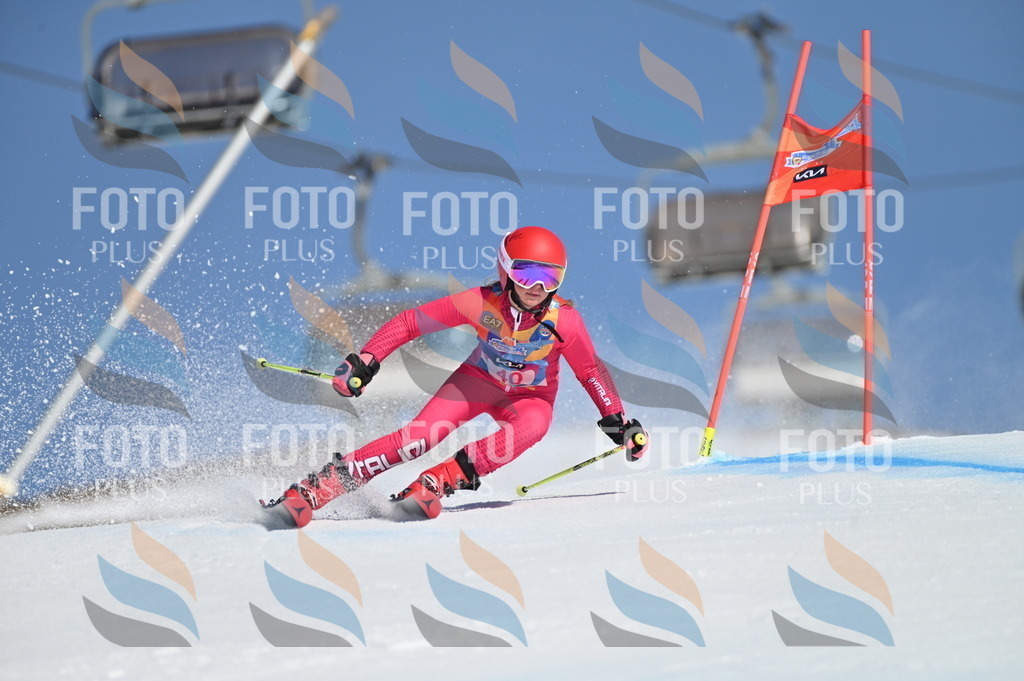 BGV_8347 | holidayphoto