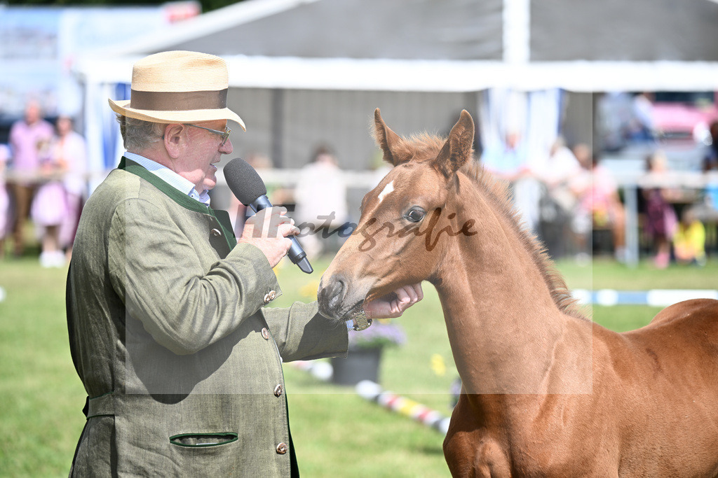 Impressionen_30251403 | hf-fotografie - Realisiert mit Pictrs.com