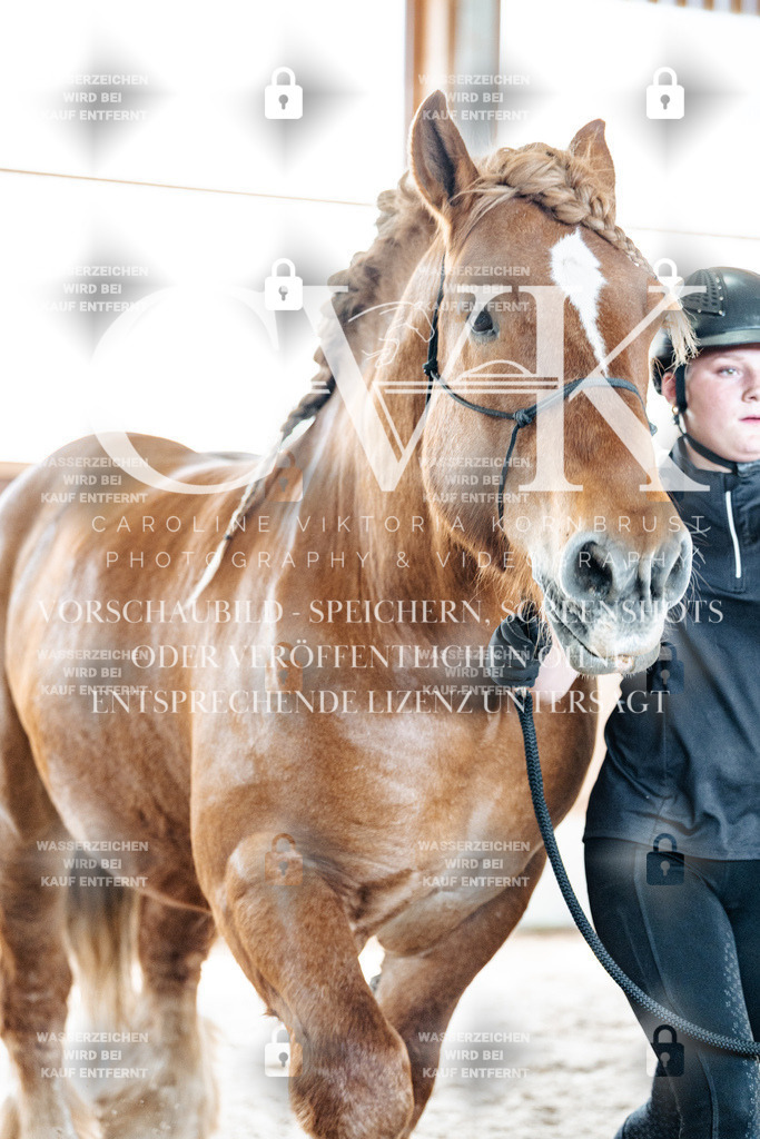 CK907261 | Turnierfotografie Pferdefotografie Trier Rheinland-Pfalz Pferdesport Reitsport Tierfotografie Sportfotografie Pferdevideo Pferdevideografie Equestrianvideography equestrianphotography  - Realisiert mit Pictrs.com