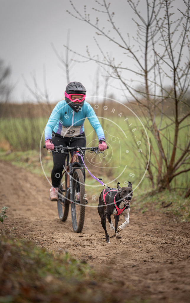 DV3A9080 | Hundefotografie, Tierfotograf, Pfotenfotografie, Fotoshooting Hund, Hunde Portrait, Hundesport, Hundeportraits, Heideshooting, Hunde, Sportfotograf, Hundefotograf, Turnierhundsport, THS,  - Realisiert mit Pictrs.com