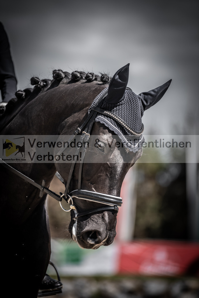 DSC_0238 | equestrian-live-com