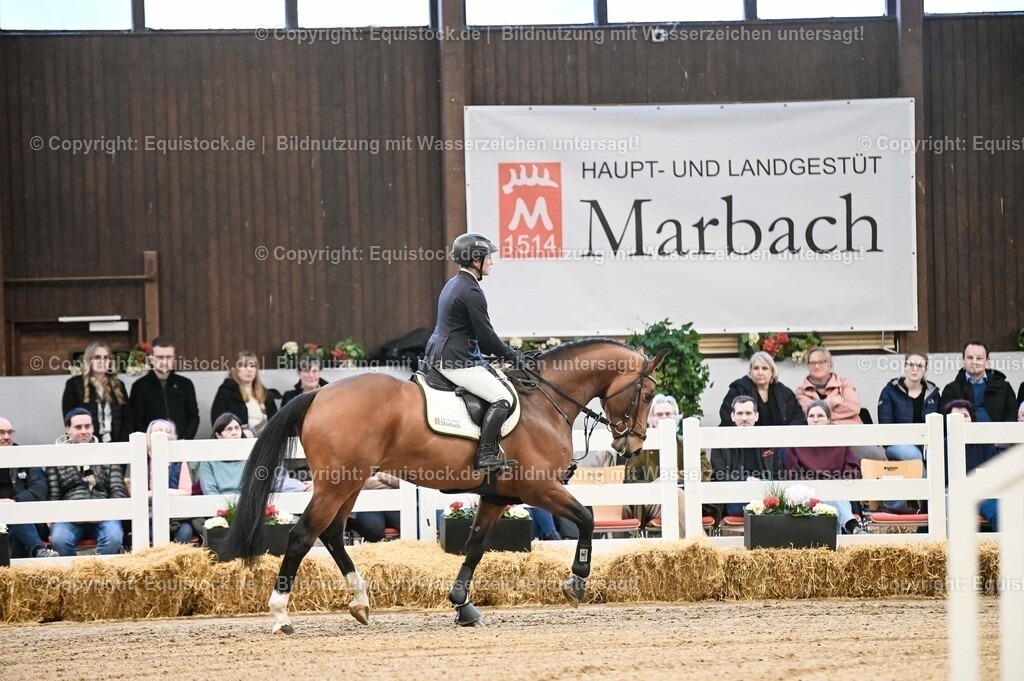20260307_Hengstvorstellung-Marbach_0007 | equistock