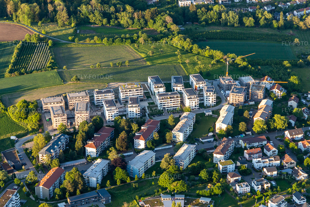 Luftbild: Anna-Zentgraf-Straße im Ortsteil Kogenbach in Überlingen im Bundesland Baden-Württemberg in Deutschland. – Foto: IMG_132107.jpg vom 26.05.2022 durch Werner Riehm/FLY-FOTO.de – Auflösung des Originals: 5378 x 3585 px – Neubauprojekt - Baugenossenschaft Überlingen eG – WWW.UEBERLINGEN-BODENSEE.DE
