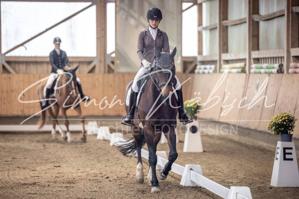 20251011-_3LI9615 | Tierfotografie Pferde, Hunde, Katzen, Haustiere.
Turnierfotografie Reitturniere, Reiten, Springreiten, Dressur in Hanau, dem Main-Kinzig-Kreis und dem Rhein-Main- Gebiet um Frankfurt