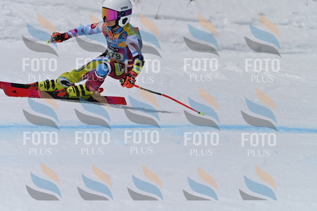 BGV_5558 | holidayphoto