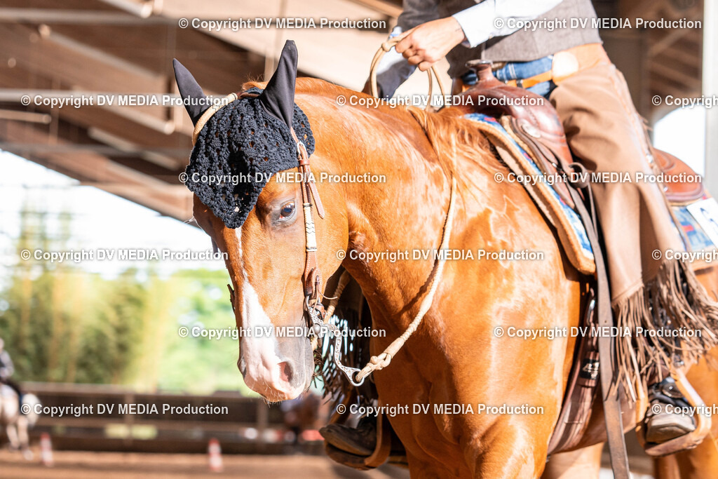 Erbach Tag 3-1354 | dv-media-shop - Realisiert mit Pictrs.com