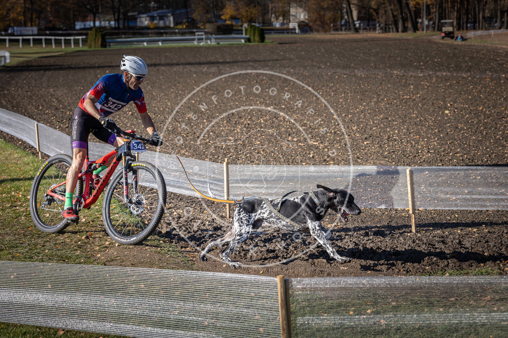 CaniXpix_DV3A6990 | Hundefotografie, Tierfotograf, Pfotenfotografie, Fotoshooting Hund, Hunde Portrait, Hundesport, Hundeportraits, Heideshooting, Hunde, Sportfotograf, Hundefotograf, Turnierhundsport, THS,  - Realisiert mit Pictrs.com