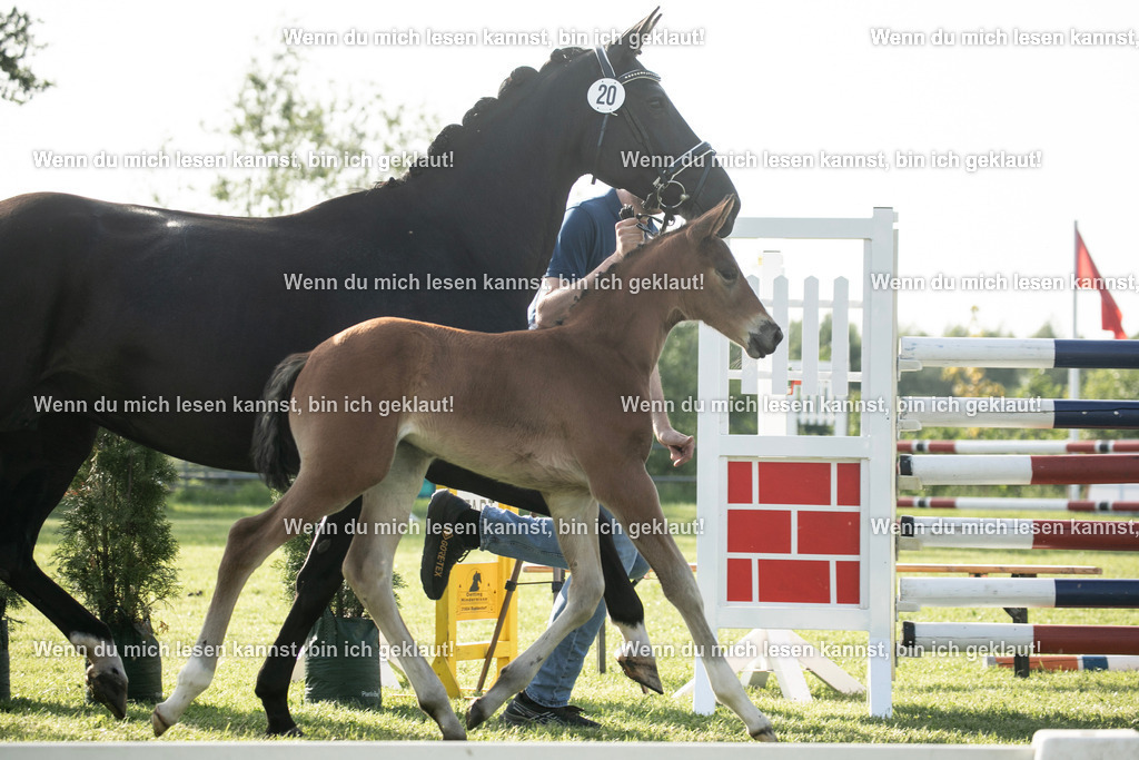 598A7394 | photographylinaismer - Realisiert mit Pictrs.com