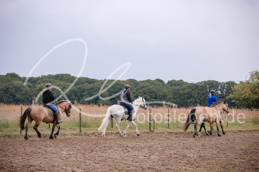 846A0321 | fotosleben - Realisiert mit Pictrs.com