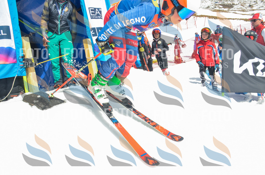 _ELE6451 | holidayphoto