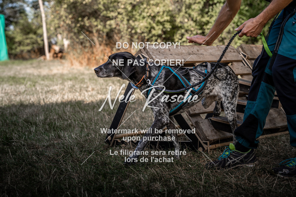nelerasche_slaw24So_308 | nelerasche