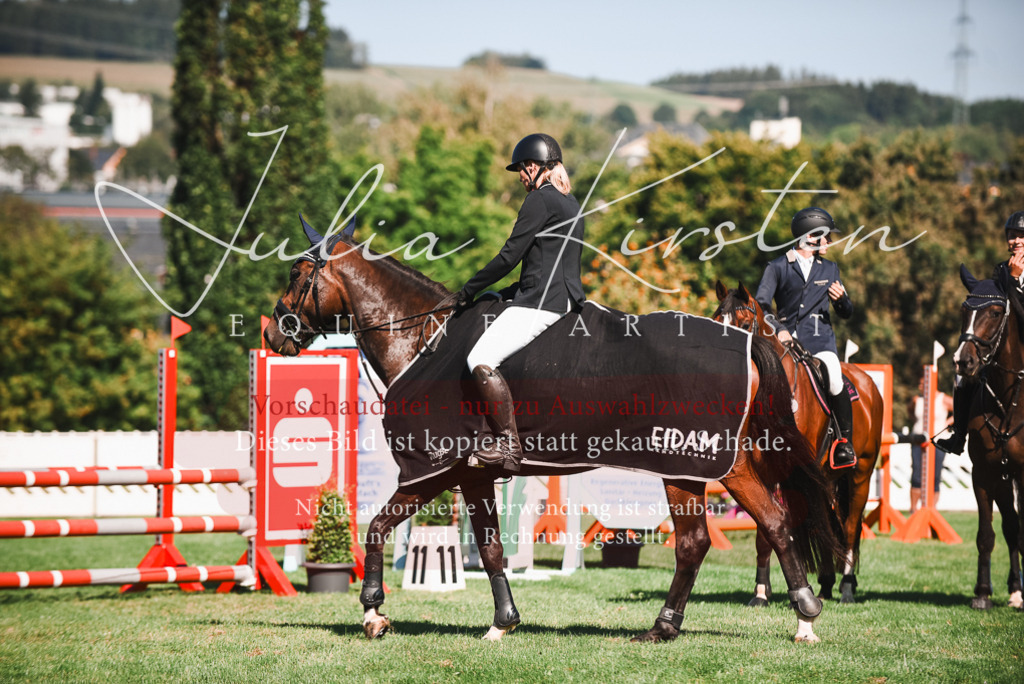 DSC_2600 | Pferde- und Turnierfotografie in Westsachsen. Pferdeportraits, Auftragszeichnungen und intuitive Kunst.