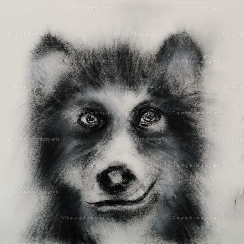 L1020141 (2) | romberg-arts, romberg-arts.de, www.romberg-arts.de, Foto_Online_Shop, Julia Fuhrmann, Köln, Fotos, Fotografie, Fotokunst, Kunstdrucke, Naturfotos, Aktfotos, Nacktfotos, schwarz_weiß_Fotos, Blumenfotos, Blumen, Tiere, Beton, Korrosion, Lächeln, Drucke