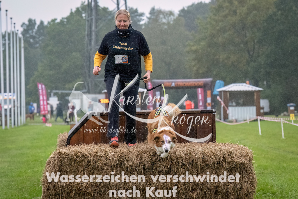 0911-_ZZ93476-Bearbeitet | kk-dogfotos