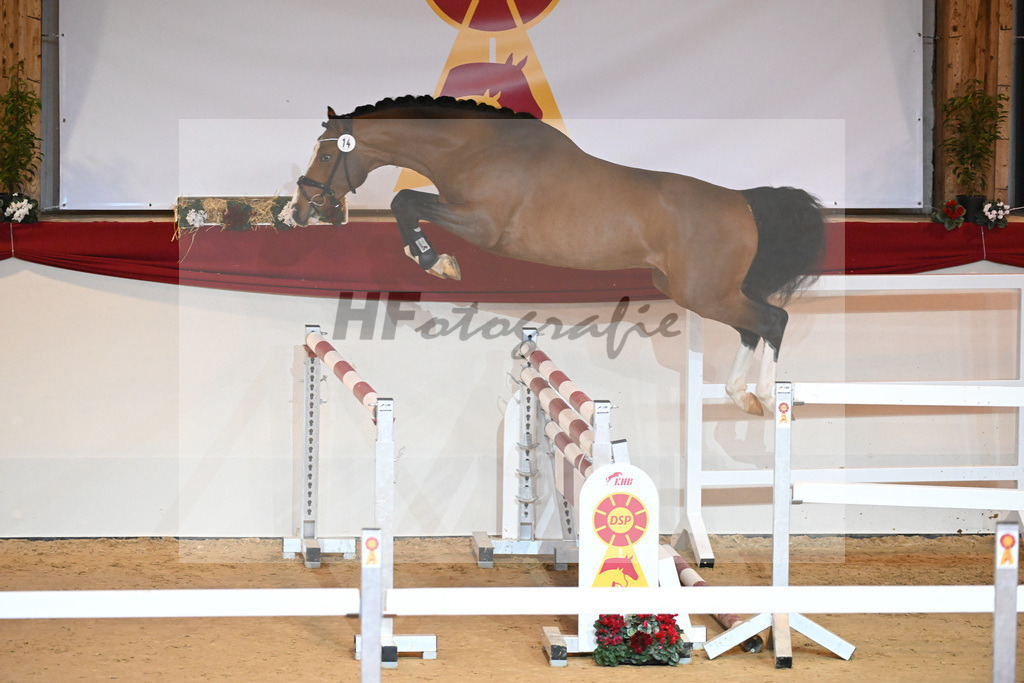 Kat-Nr. 14 Cornado I_Schulze Averdiek_1230828 | hf-fotografie - Realisiert mit Pictrs.com