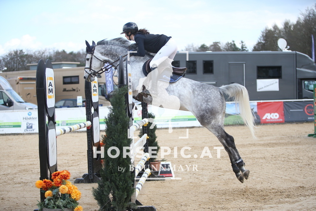 AS8V8008 | Willkommen bei Brunnmayr - Design & Fotografie – Ihrem Spezialisten für Reitturniere und Pferdeveranstaltungen in Oberösterreich, Salzburg und Bayern! Seit über 17 Jahren sind wir leidenschaftlich dabei.