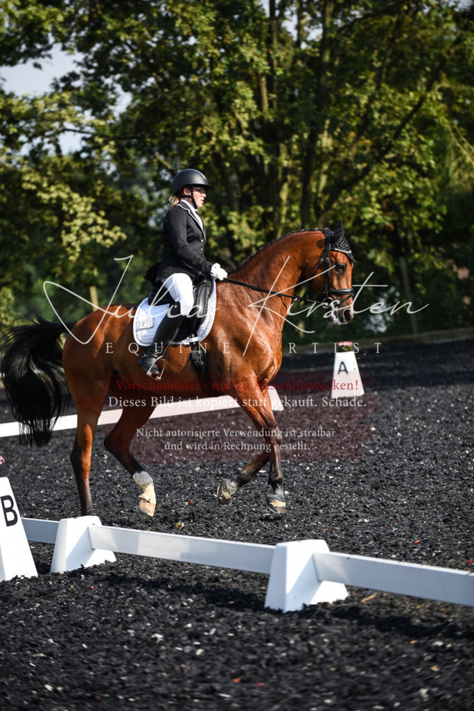 DSC_3172 | Pferde- und Turnierfotografie in Westsachsen. Pferdeportraits, Auftragszeichnungen und intuitive Kunst.