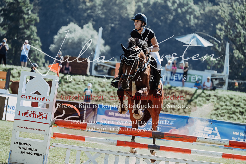 DSC_5810 | Pferde- und Turnierfotografie in Westsachsen. Pferdeportraits, Auftragszeichnungen und intuitive Kunst.