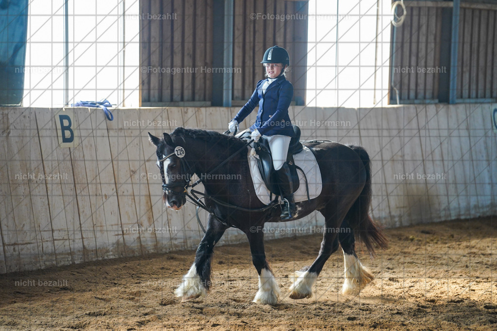 20230916-FAH08691 | Landsberg am Lech 2023, Turnierbildern, Turnierbilder Bayern, Reitsportfotograf, Pferdefotograf Bayern, Turnierfotos Landsberg, Fotoagentur Herrmann, Turnierfotografen Bayern