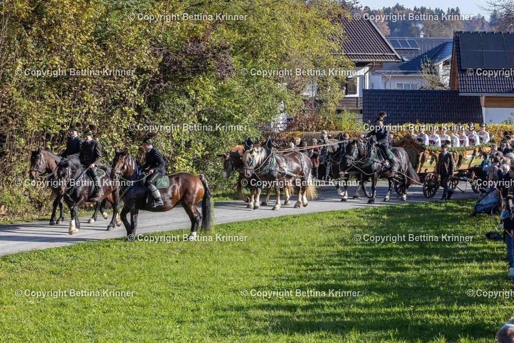LBT24-457 | foto-bettina-krinner - Realisiert mit Pictrs.com
