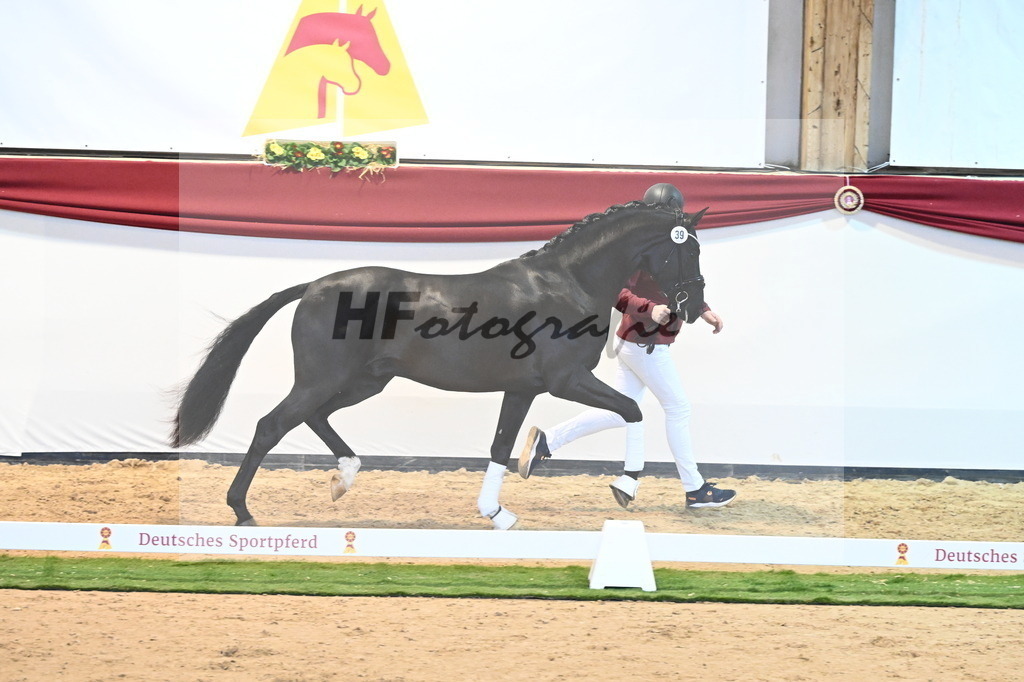 Kat.-Nr. 39 v. Dimaggio Black_Berger und Kopp_2240460 | hf-fotografie - Realisiert mit Pictrs.com