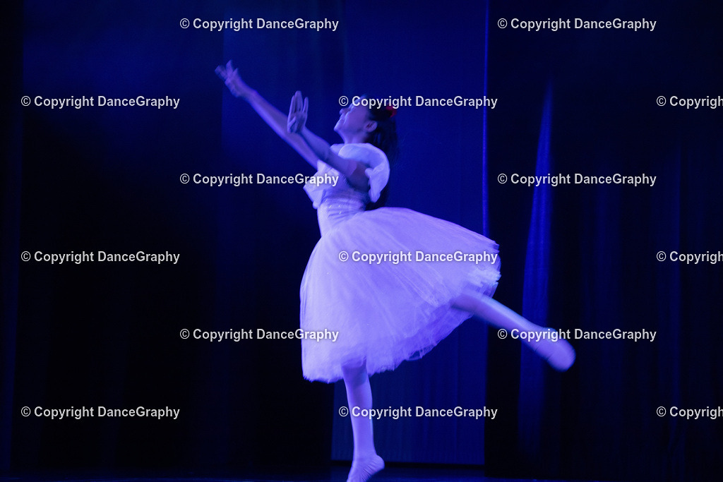 GPHY2562 | DanceGraphy - Realisiert mit Pictrs.com