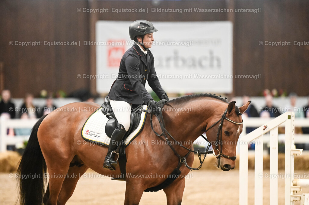 20260307_Hengstvorstellung-Marbach_0012 | equistock