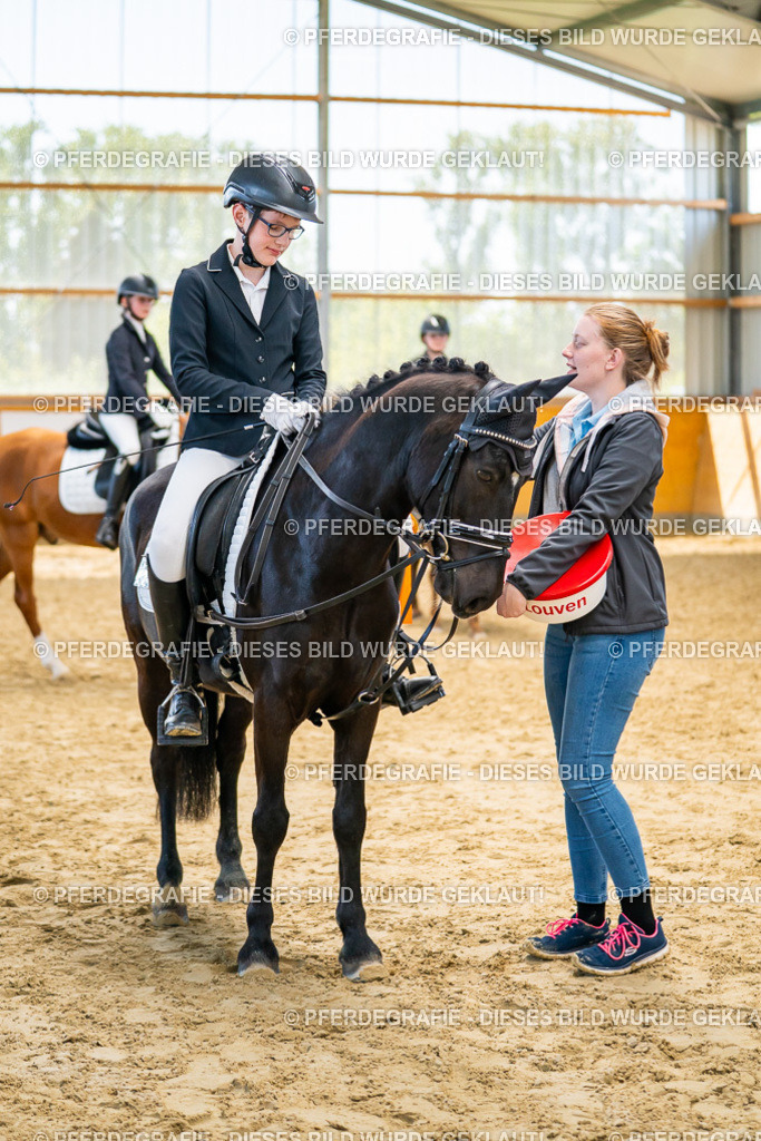 DSC01458 | Pferdegrafie